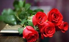 哪些星座不会因感动而生情？