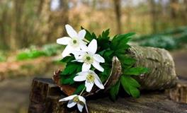 YAO叔:白羊座一周运势（5.7-5.13）