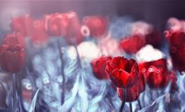 YAO叔:天秤座一周运势（5.7-5.13）