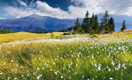 Eskey:处女座一周运势（5.7-5.13）