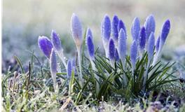 Eskey:射手座一周运势（5.7-5.13）