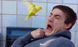 当你遇到什么事会手足无措，乱了阵脚