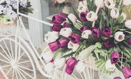 铃兰:一周塔罗感情运势（5.14-5.20）