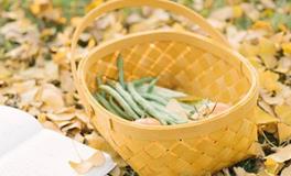 董易奇:生肖蛇一周运势（5.14-5.20）