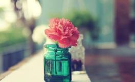 浮图塔:生肖猪一周运势（5.14-5.20）