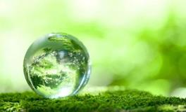 李云天:一周生肖猪运势（5.14-5.20）