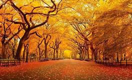 水则堂:2018年5月20日生肖运势