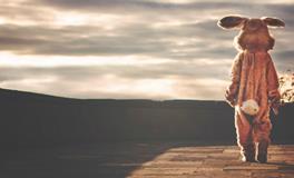 属兔是什么命？