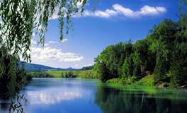 董易林:2018年5月22日生肖运势