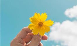 肖百奇2018年6月生肖兔运势