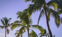 属鼠的吉祥数字是多少？