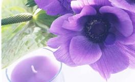 Alex水瓶座一周运势（5.28-6.3）