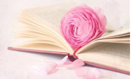 YAO叔双子座一周运势（5.28-6.3）