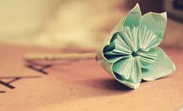 YAO叔摩羯座一周运势（5.28-6.3）