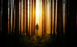 梦见蚊子是什么意思