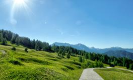 男属羊女属牛相配吗？