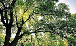 Alex双子座一周运势（6.4—6.10）