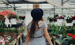 天蝎座是什么属性，是什么象星座？