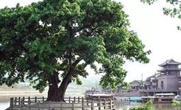 水则堂:2018年6月10日生肖运势