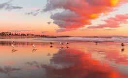 紫微14主星一周运势（6.11-6.17）