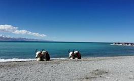 水则堂:2018年6月18日生肖运势