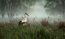 姓名与命运财富有关吗