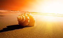 夏日炎炎，四大血型君该如何度过？