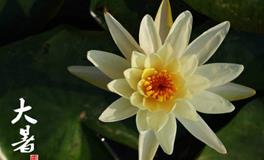 大暑节气的起源及历史发展