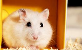 Eskey天蝎座一周运势（7.9-7.15）