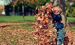 以鑫取名男孩，有什么好听的名字？