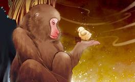 猴后面是什么生肖