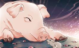 猪后面是什么生肖