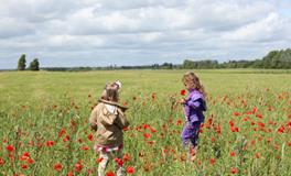 伊字起名女孩，有哪些好名字？