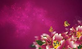 AB血型的颜色代表