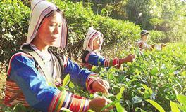 基诺族的宗教信仰是什么