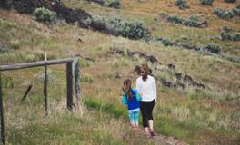 梓起名女孩名字大全