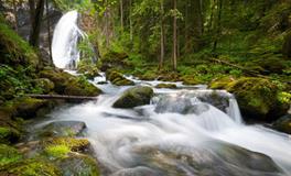 AB血型君最爱以貌取人吗