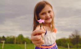 起名张姓100分女孩名字