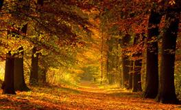 AB型血天蝎座迷人的特质