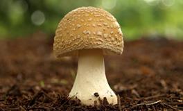 AB型血巨蟹座很无趣吗？