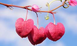 七夕想脱单？12星座可能得这么办！