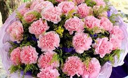 水瓶座幸运花，水瓶座的幸运花是什么