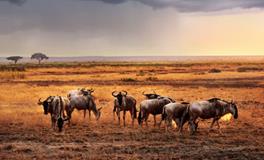 B血型水瓶座的事业观