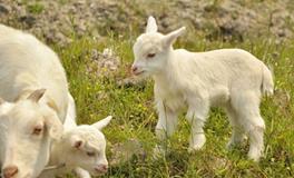 AB型血忘记一个人要多久