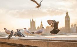 梦见自己拾钱是什么意思