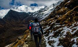 梦到好多蛇但是没被咬