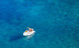 梦到蛇好不好？