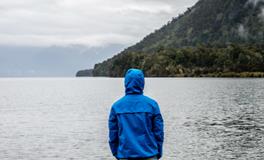 孕妇梦到很多很多蛇