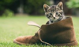 B血型君点外卖有啥习惯？