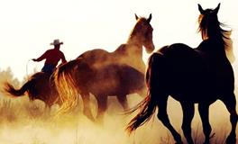 AB血型君最容易背叛别人吗？